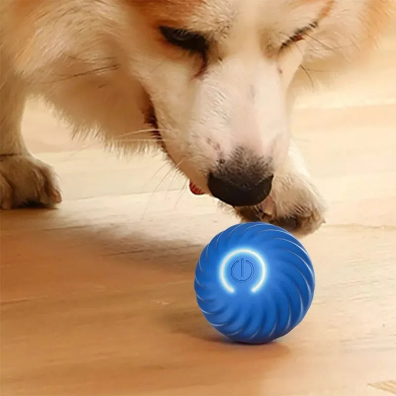 Smart Electric Ball Toy Gravity Jump Balls Dog Plaything USB Charging Automatic Teasing Dogs Artifact Intelligent Pet Cat Toys